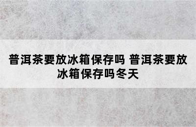 普洱茶要放冰箱保存吗 普洱茶要放冰箱保存吗冬天